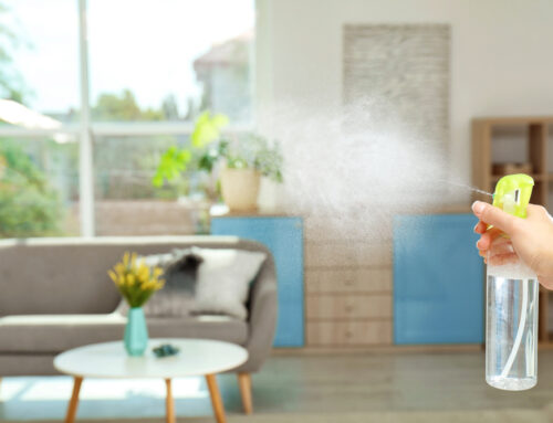Maximizing Indoor Air Quality: Cleaning Tips for Healthier Homes in Volusia County