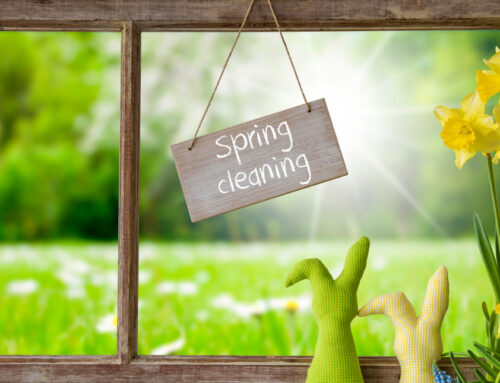 Volusia County Spring Cleaning Guide: Revitalize Your Home for the New Season
