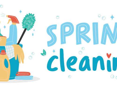 Why Spring Cleaning Matters in Volusia County