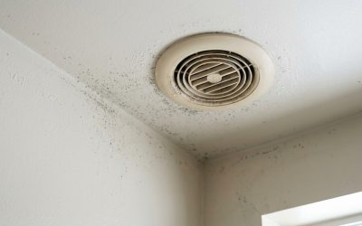 How Daytona Beach Humidity Creates Mold Risks Between General Maintenance Cleanings